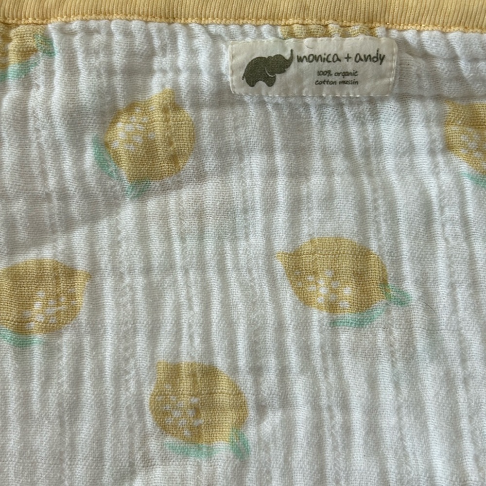 Monica and Andy Muslin Baby Blanket